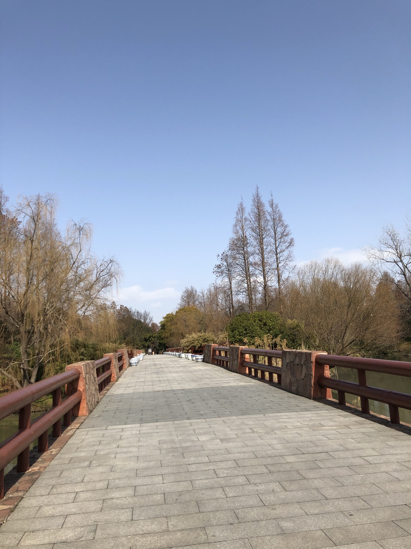 上海濱江森林公園