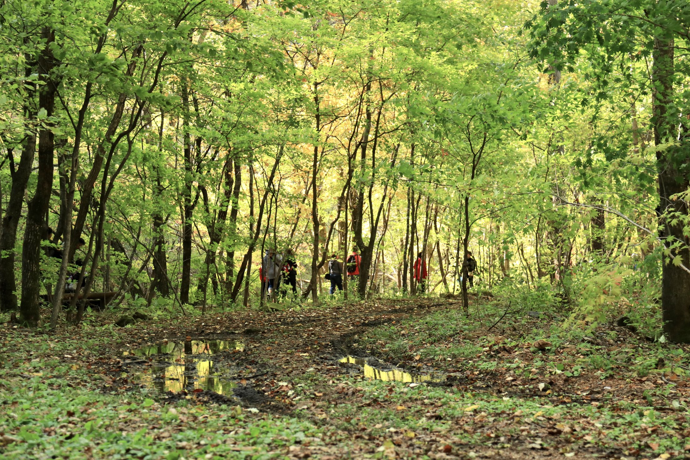 關門山國家森林公園