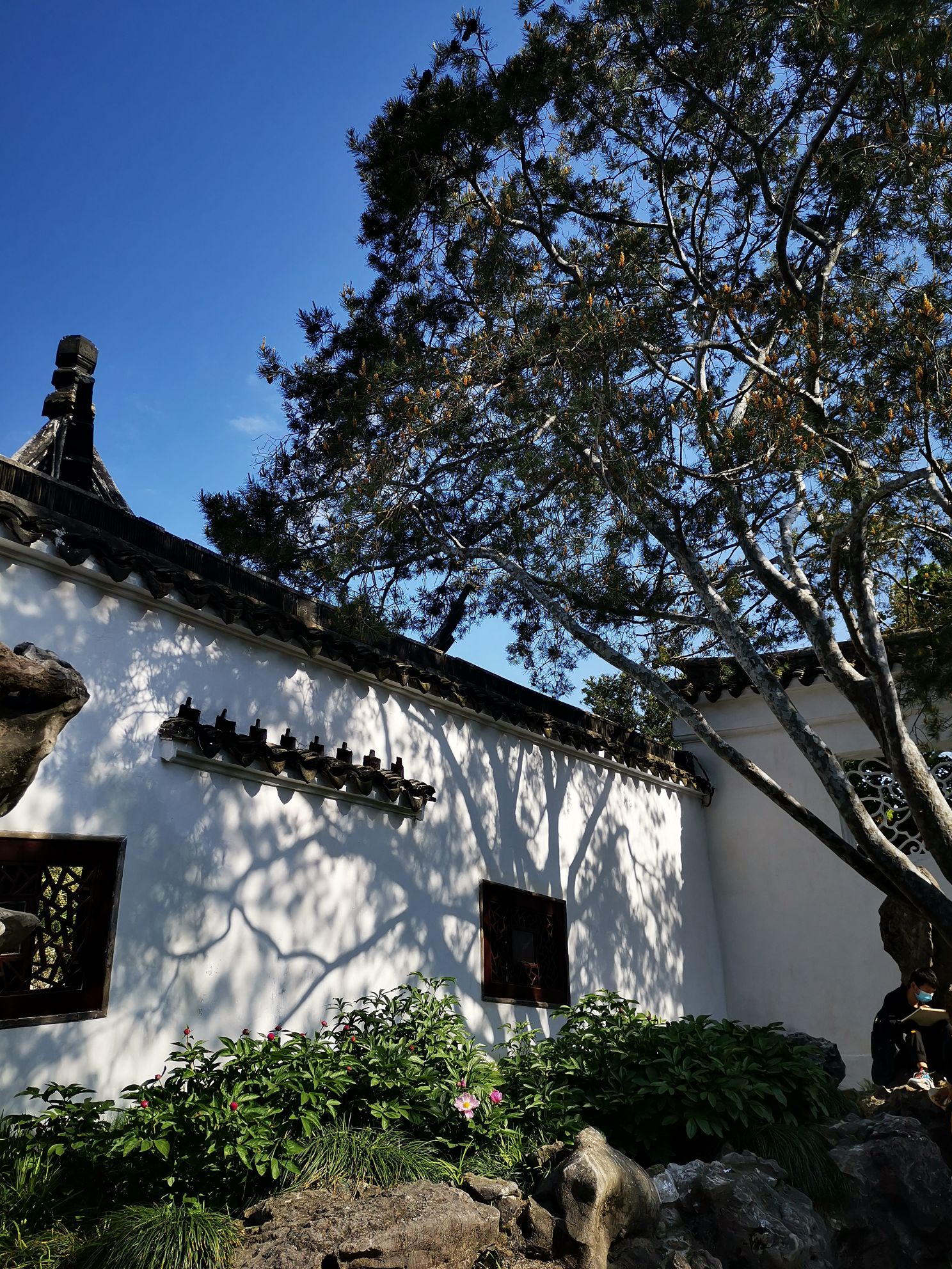 【携程攻略】苏州网师园景点,网师园真的算是惊喜了,小而精致,人少景