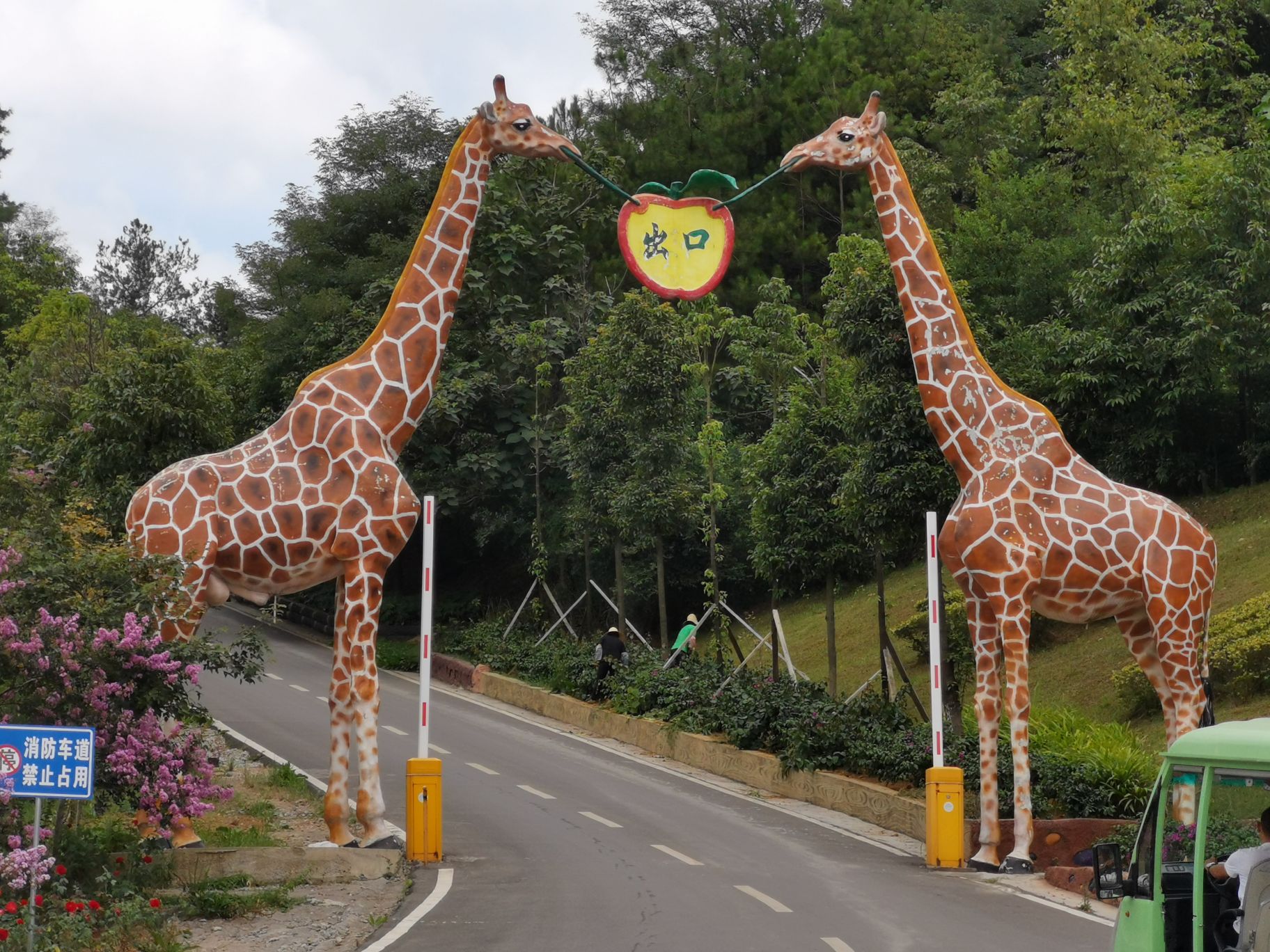 【携程攻略】贵阳贵州森林野生动物园适合朋友出游旅游吗,贵州森林