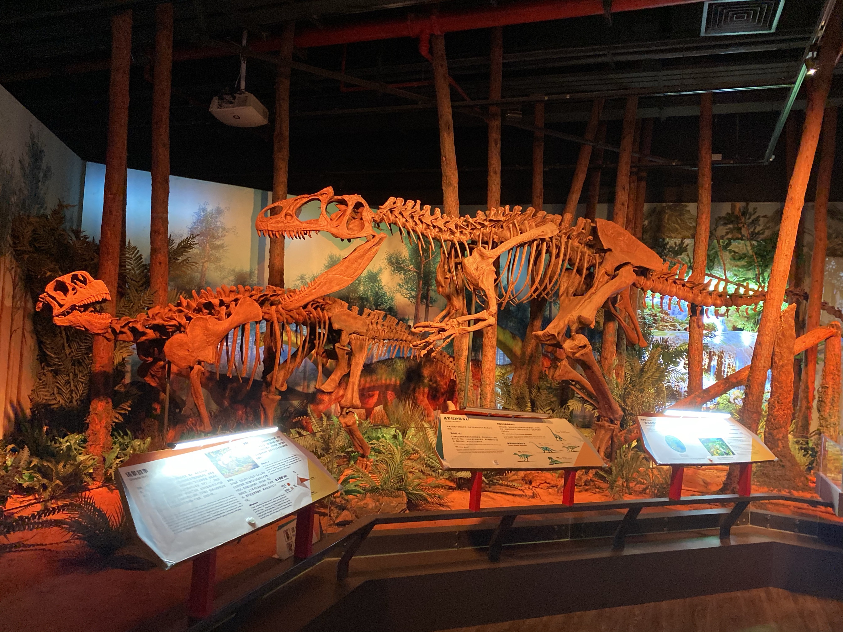 正佳自然科学博物馆