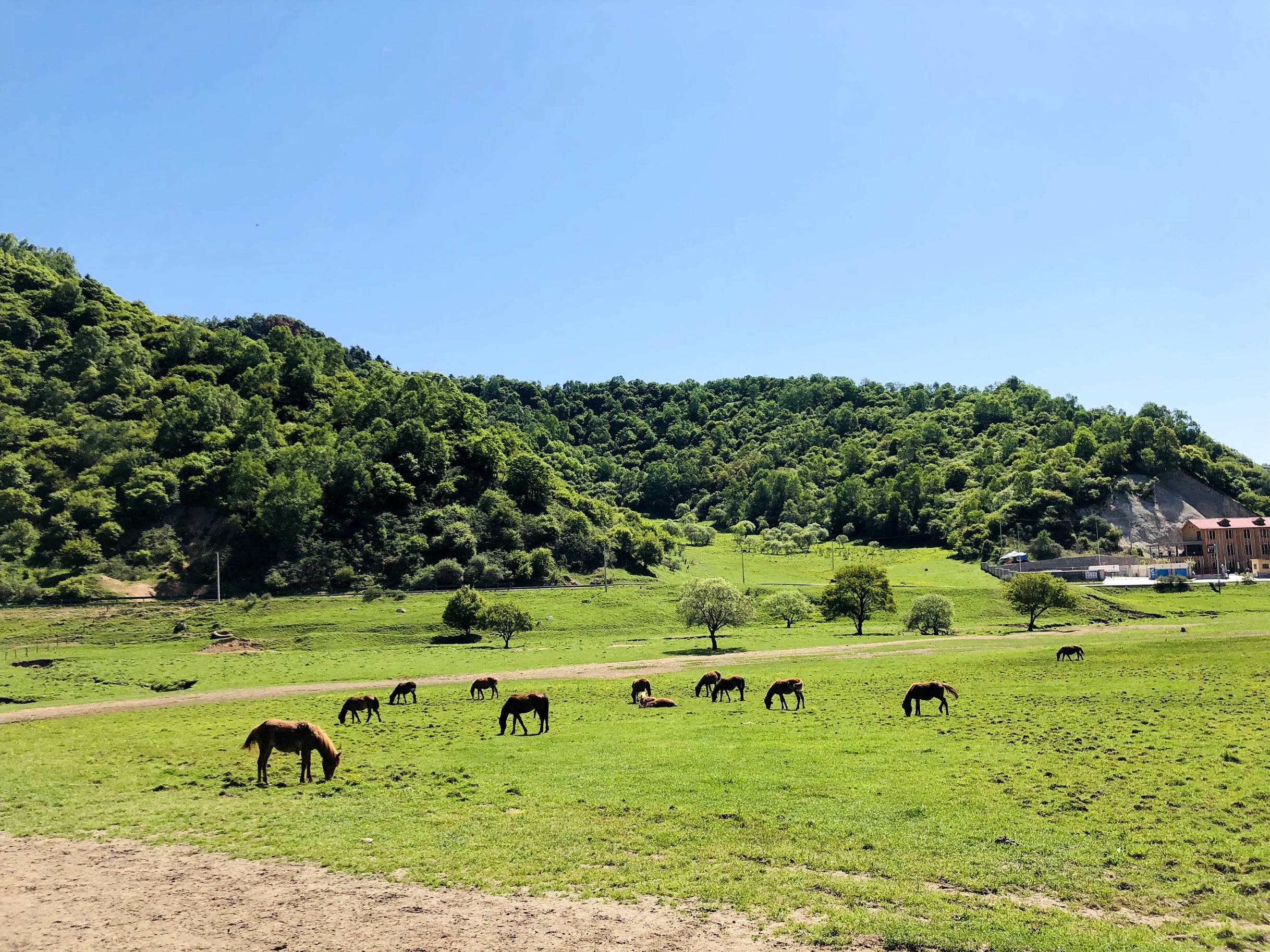 【攜程攻略】隴縣關山草原適合家庭親子旅遊嗎,關山草原家庭親子景點