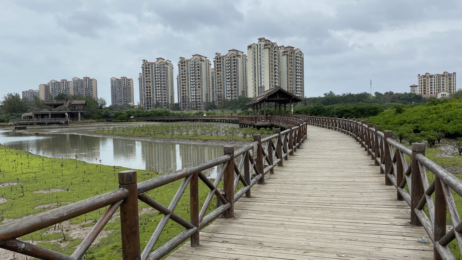 深圳红树湾湿地公园图片