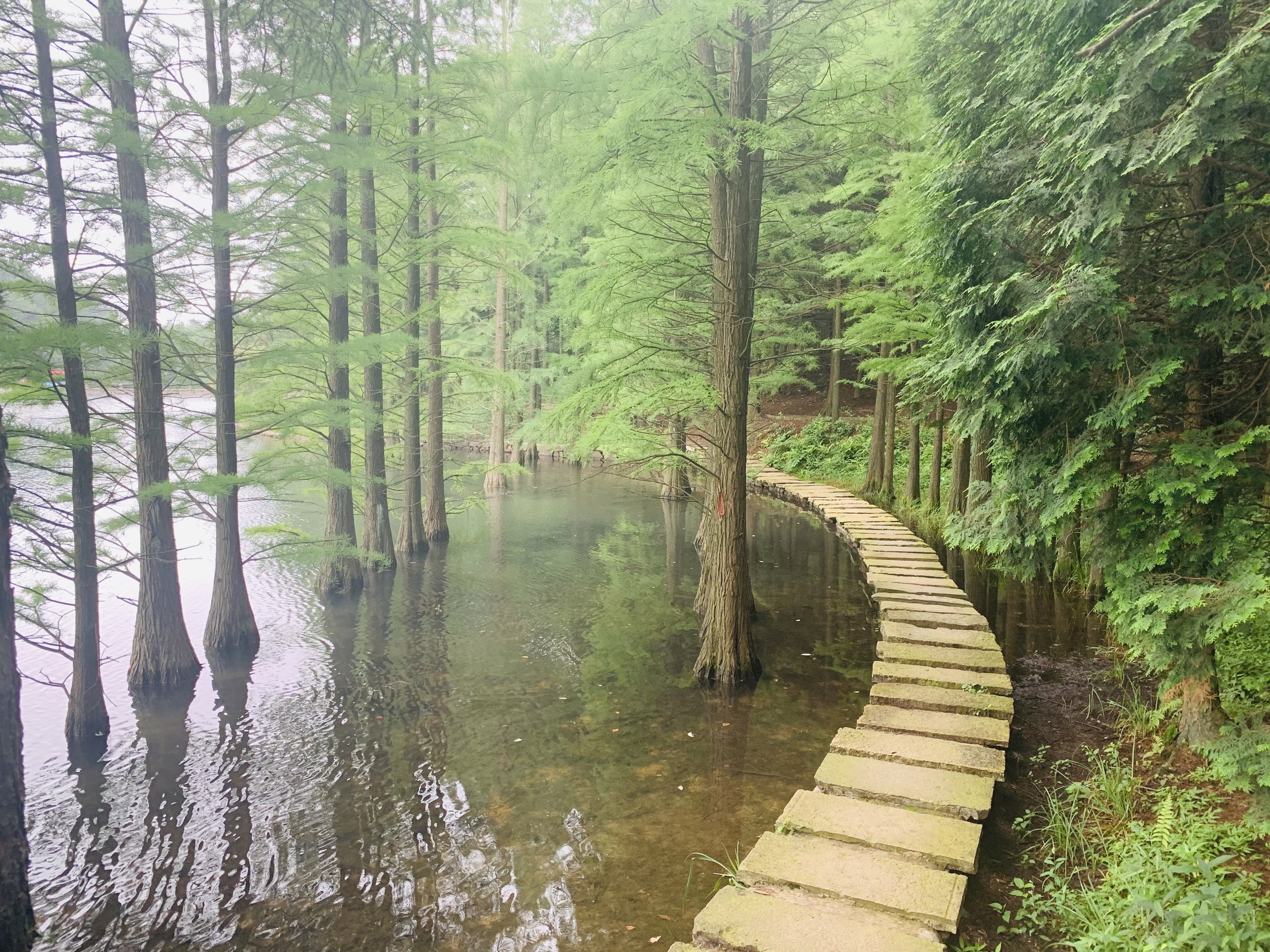 【攜程攻略】餘姚四明山國家森林公園適合單獨旅行旅遊嗎,四明山國家