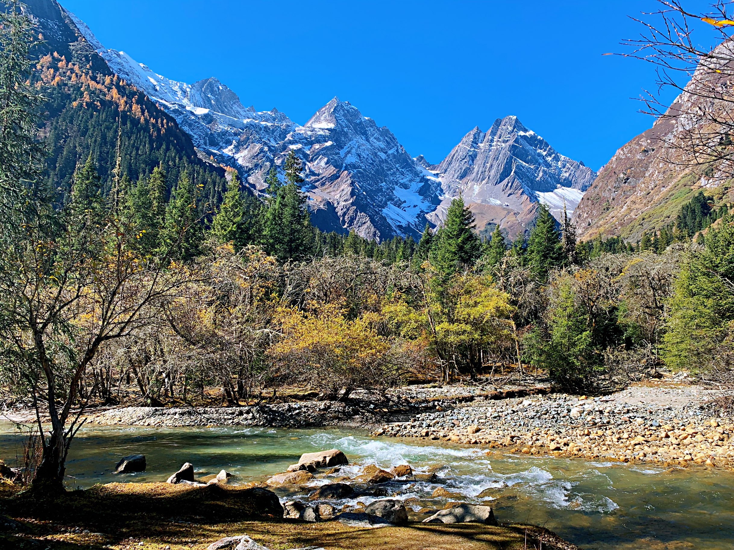 四姑娘山长坪沟好玩吗,四姑娘山长坪沟景点怎么样_点评_评价【携程