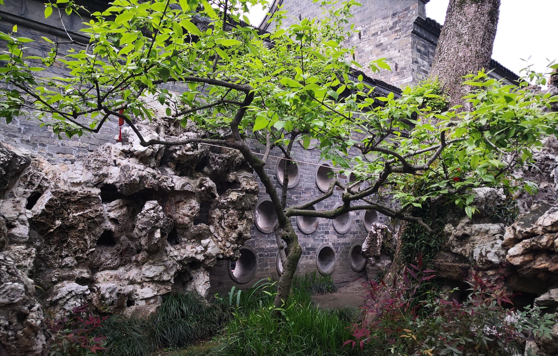 扬州个园好玩吗,扬州个园景点怎么样_点评_评价【携程攻略】