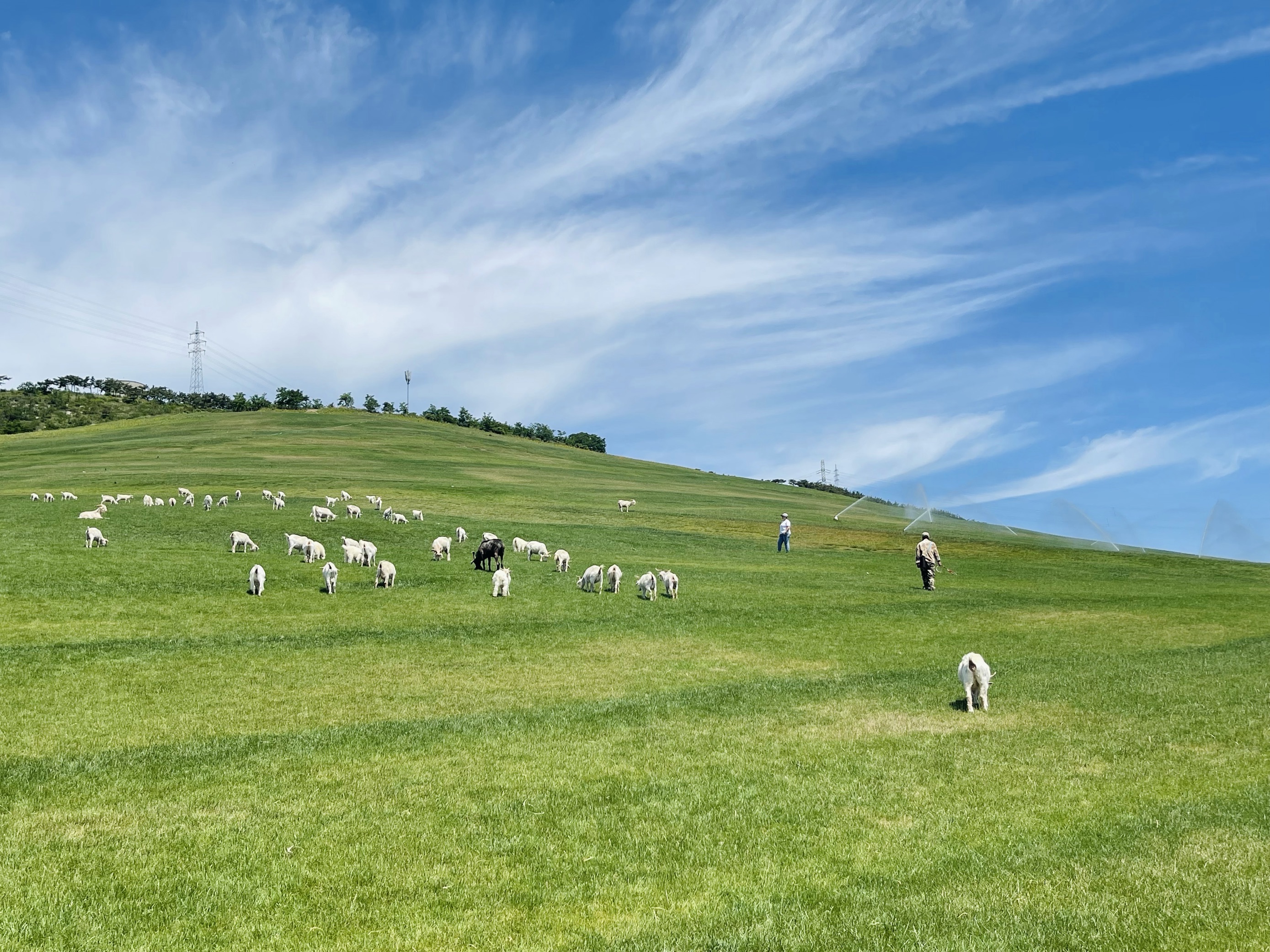 【携程攻略】大连三寰牧场适合朋友出游旅游吗,三寰牧场朋友出游景点