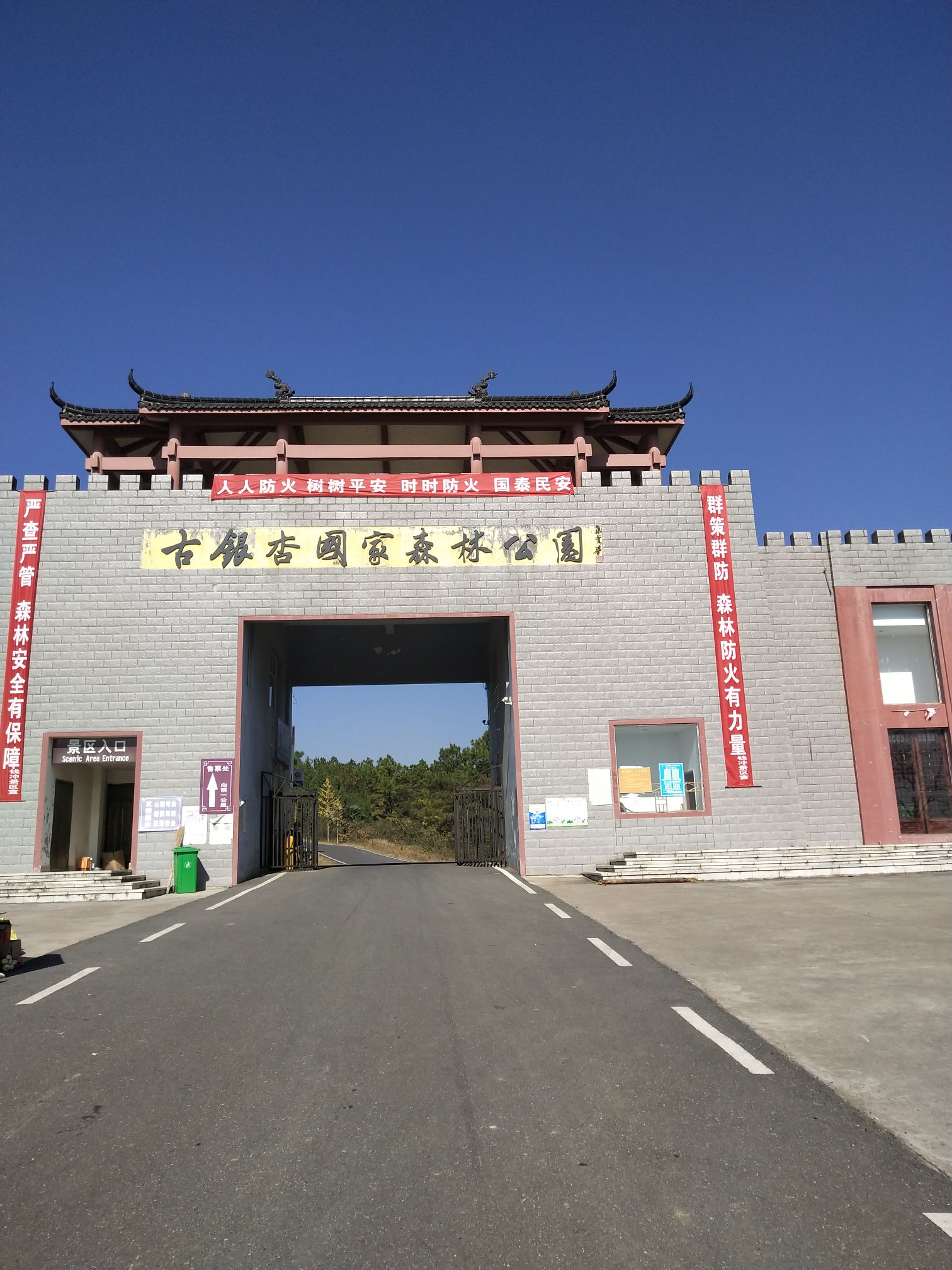 安陆钱冲银杏谷适合朋友出游旅游吗,钱冲银杏谷朋友出游景点推荐/点评