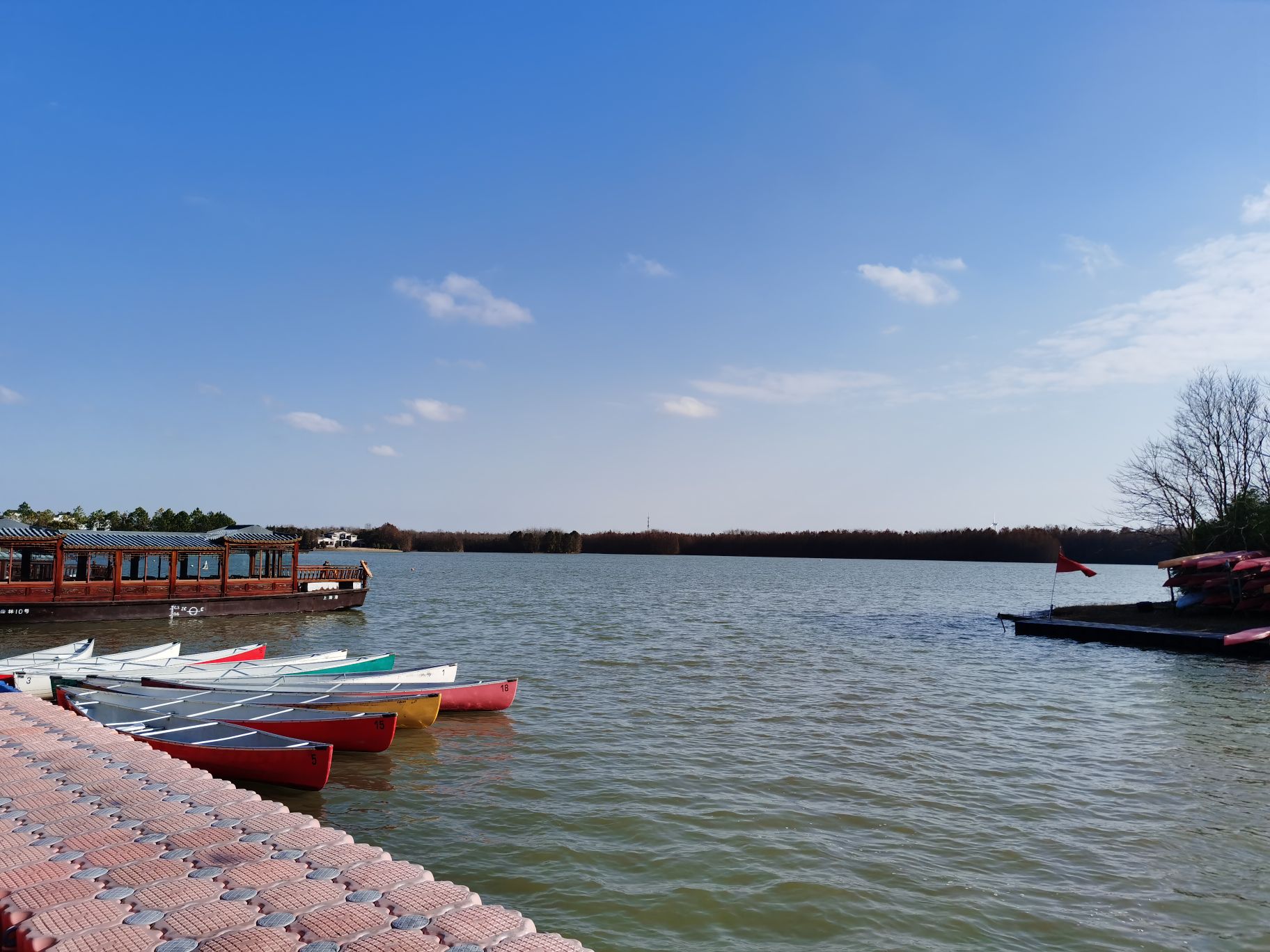 上海海湾国家森林公园