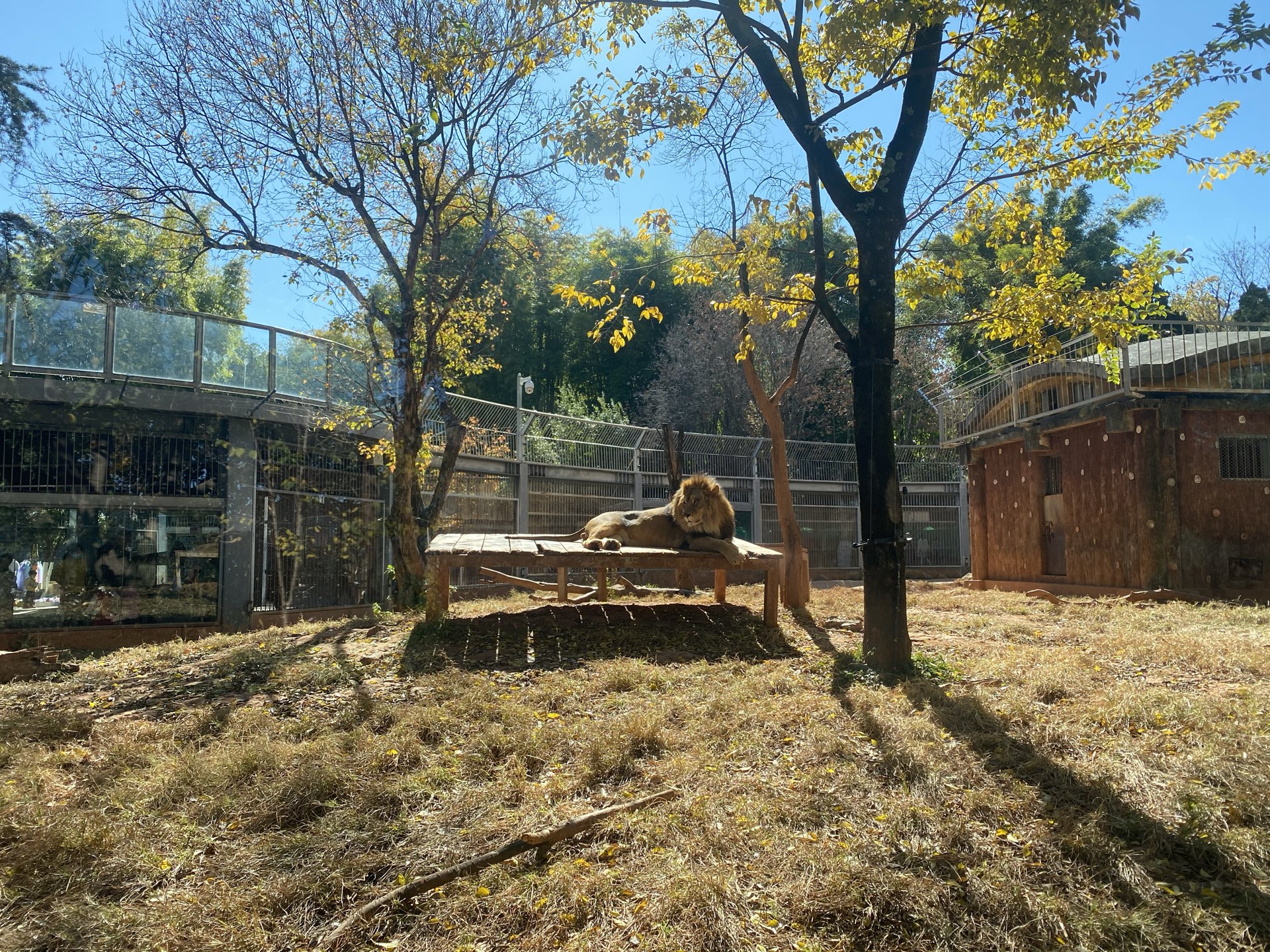 昆明動物園商務旅行景點推薦/點評