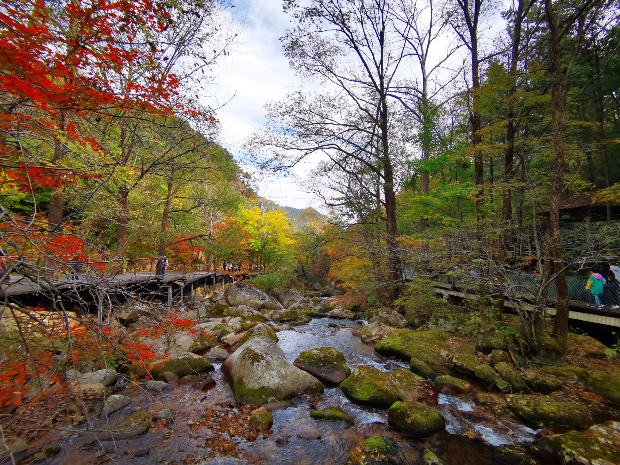 天桥沟森林公园