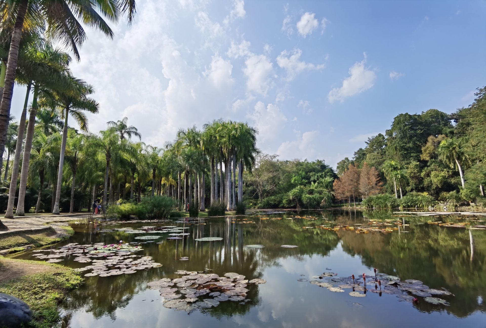 中科院西雙版納熱帶植物園