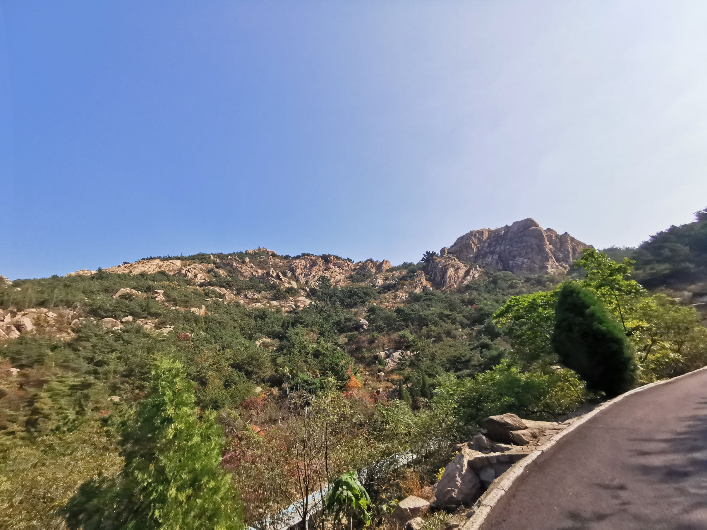 珠山国家森林公园 携程网