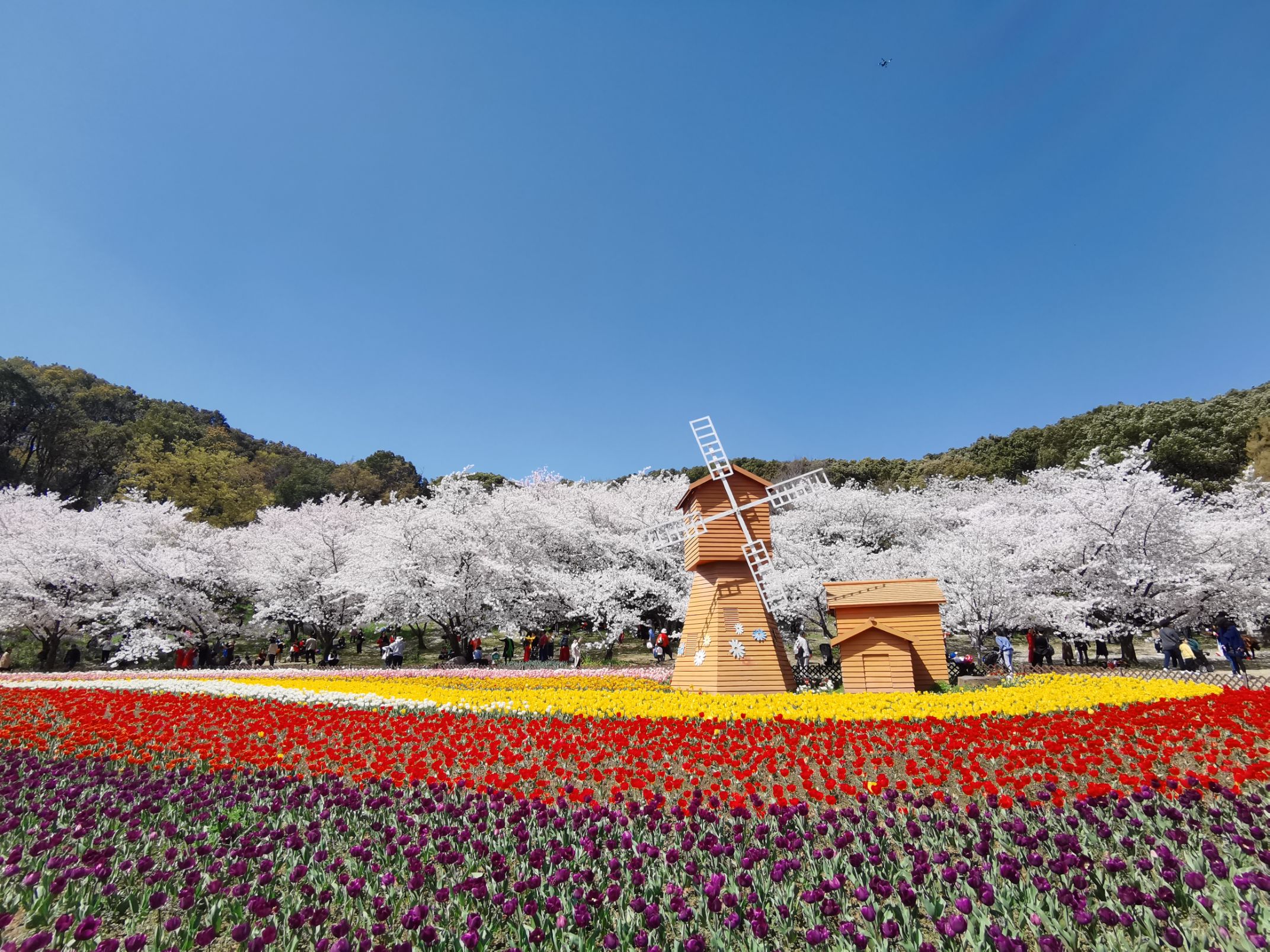 苏州上方山国家森林公园