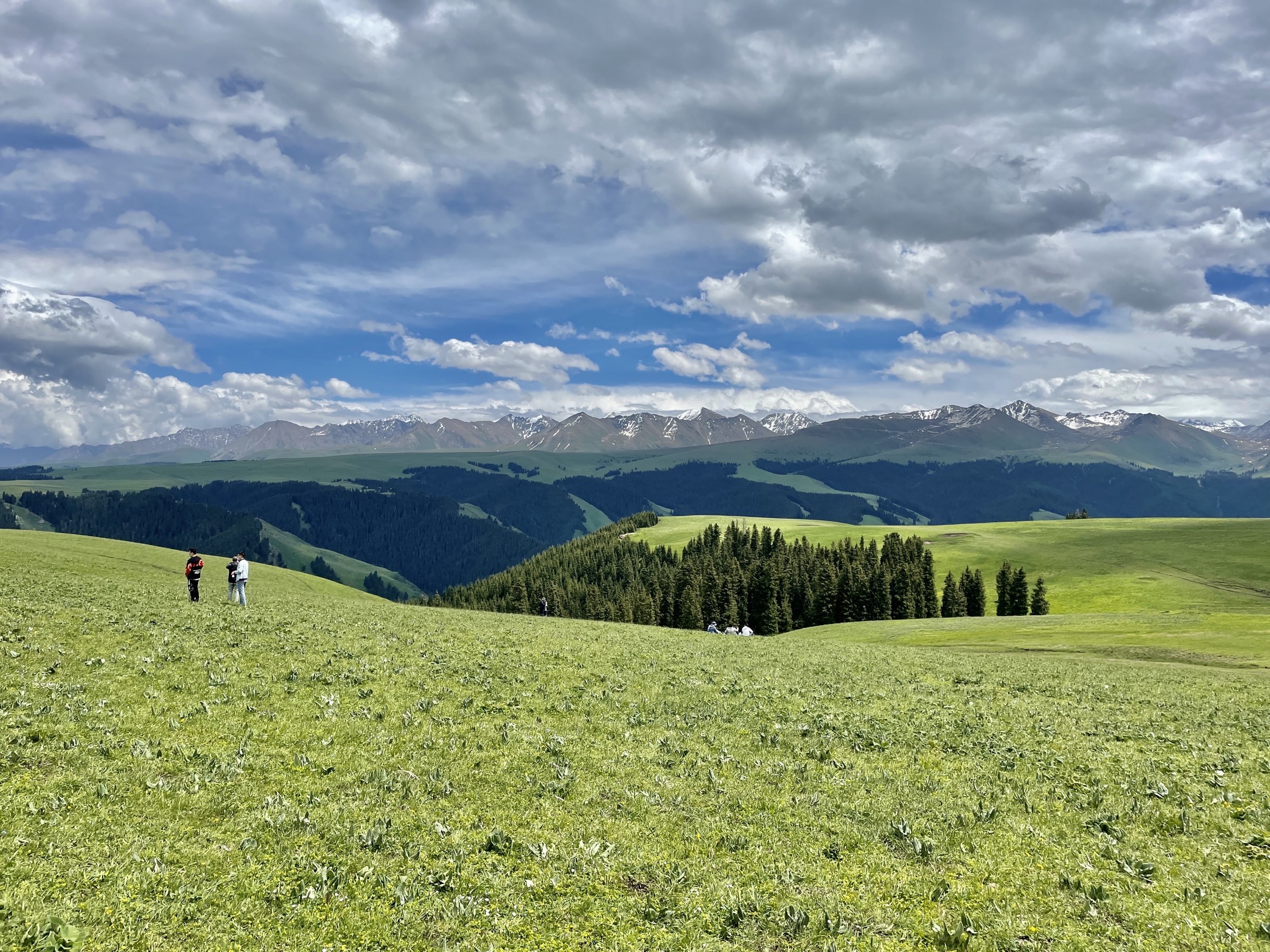 【携程攻略】伊犁喀拉峻草原景点,有趣好玩,特别美,喀拉峻大草原 风光