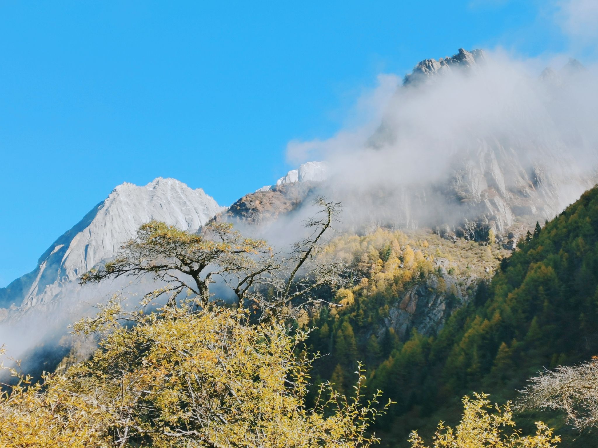 四姑娘山长坪沟好玩吗,四姑娘山长坪沟景点怎么样_点评_评价【携程