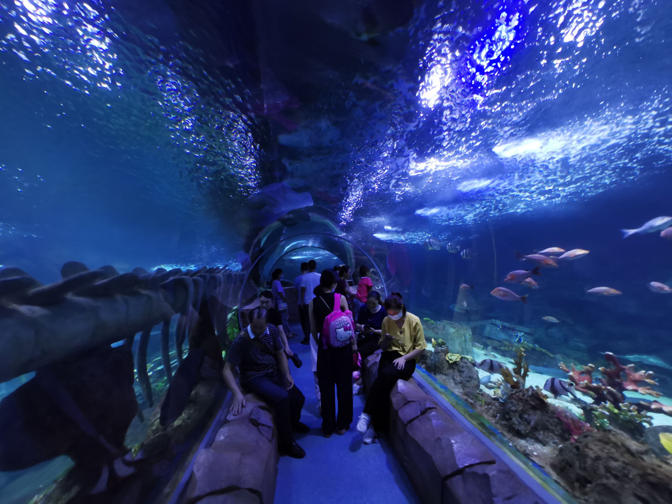 曲江海洋极地公园