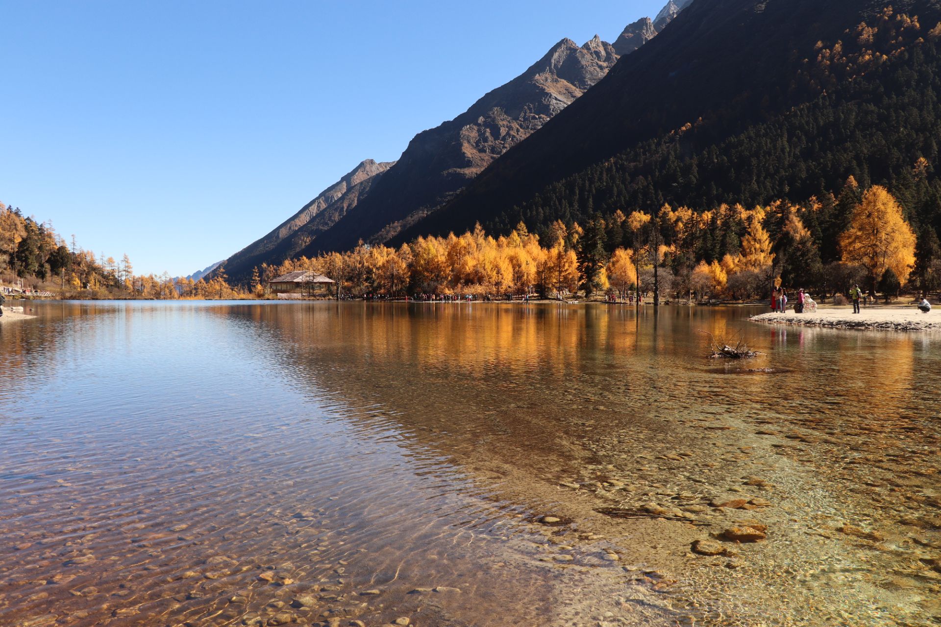 【携程攻略】理县毕棚沟景点,秋天的磐羊湖特别美,有冰山有黄叶有大片