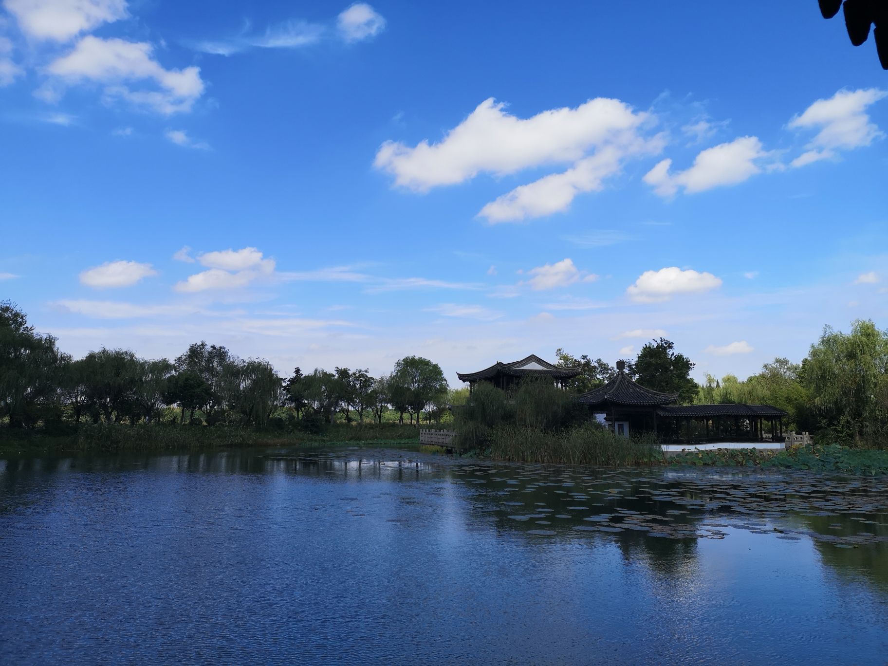尚湖风景区