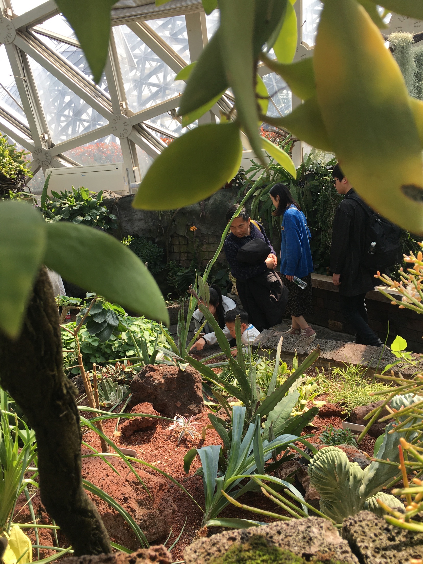 上海辰山植物園