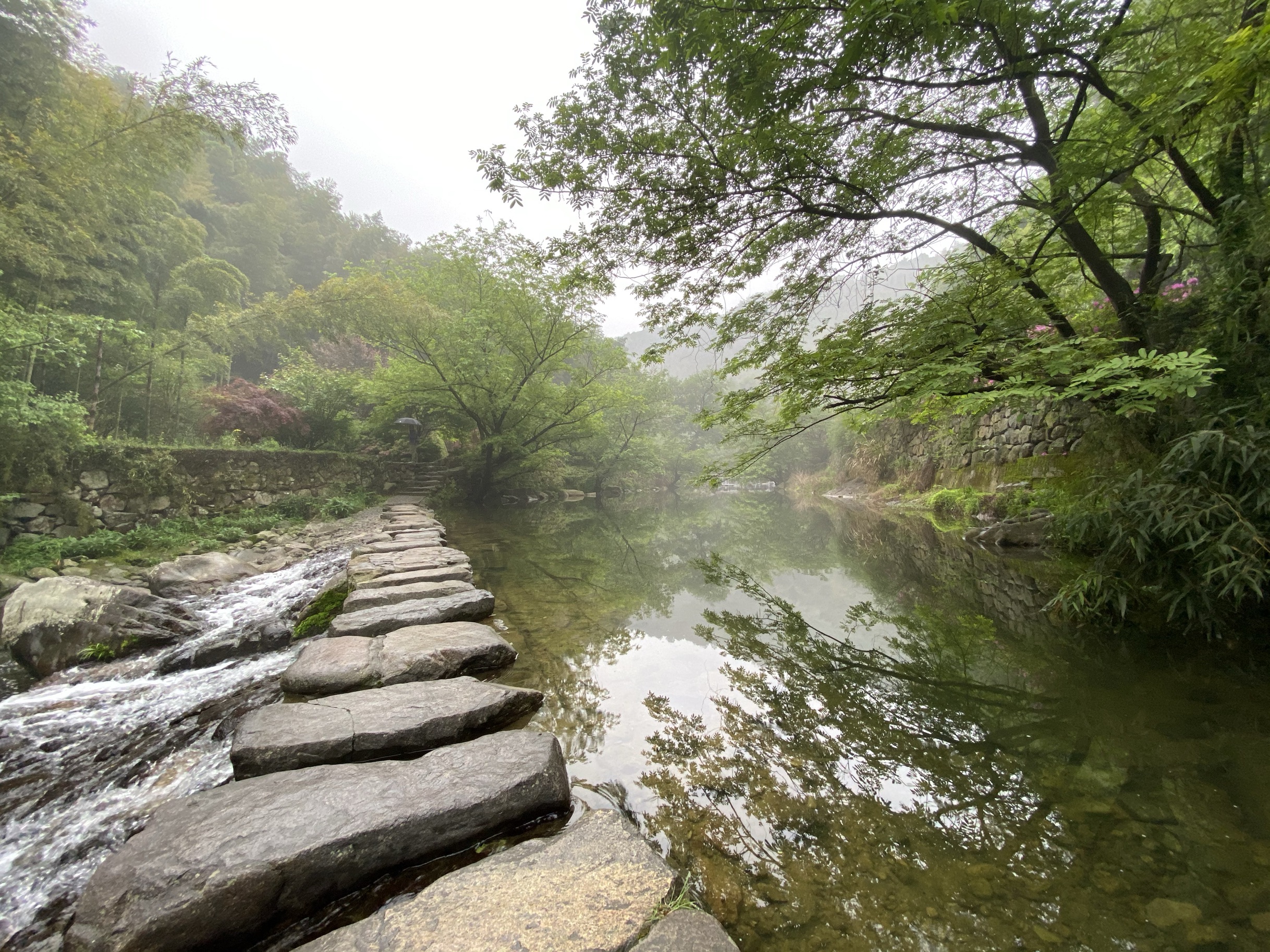 霧氣氤氳,空氣中瀰漫著花香和樹木的清香,沿著潺潺溪水邊漫步,感覺不