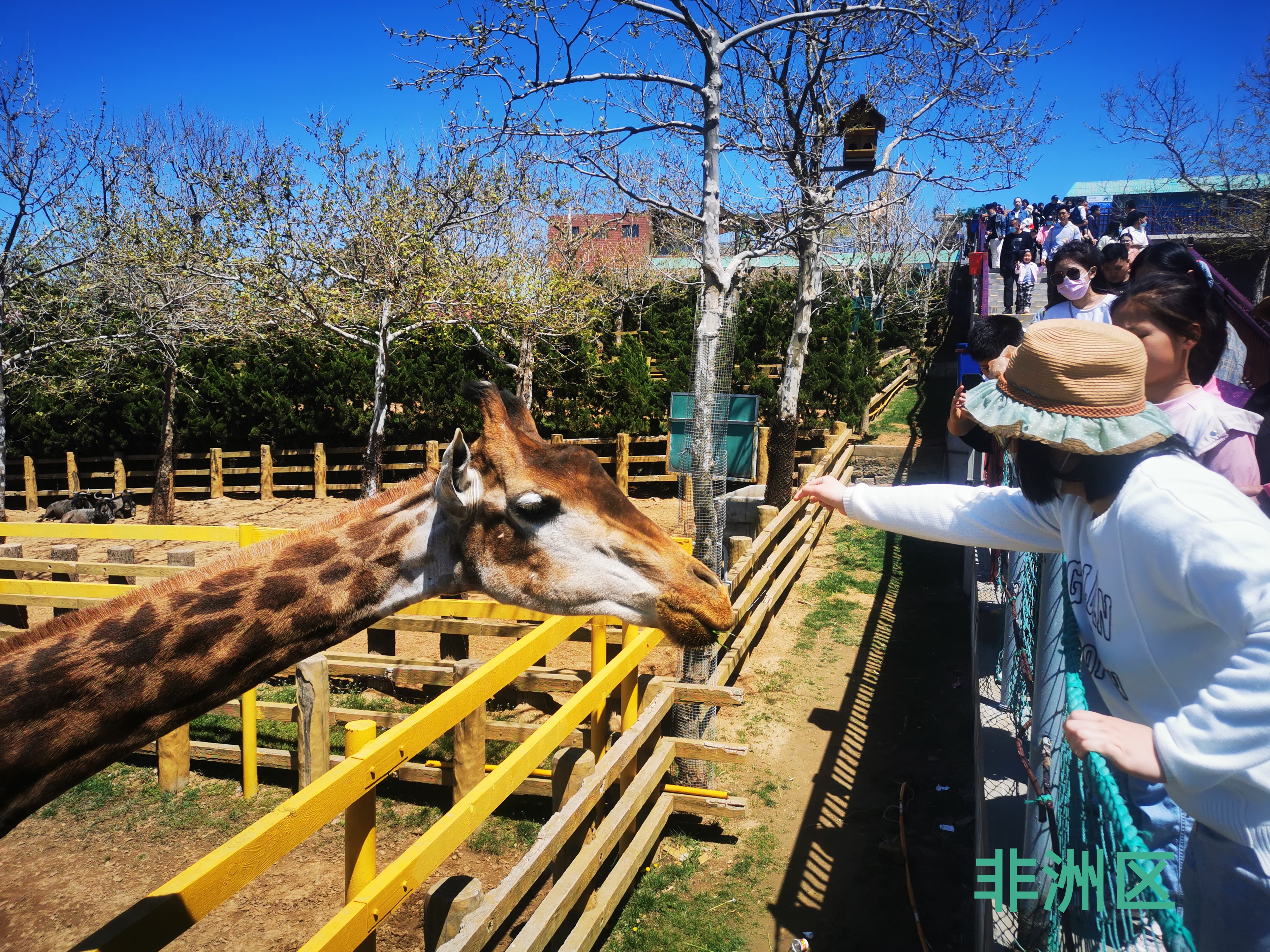 西霞口神雕山野生动物园