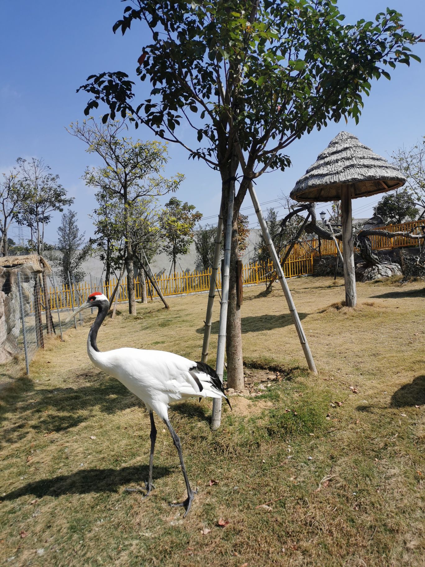 【携程攻略】福清永鸿野生动物世界适合情侣出游旅游吗,永鸿野生动物
