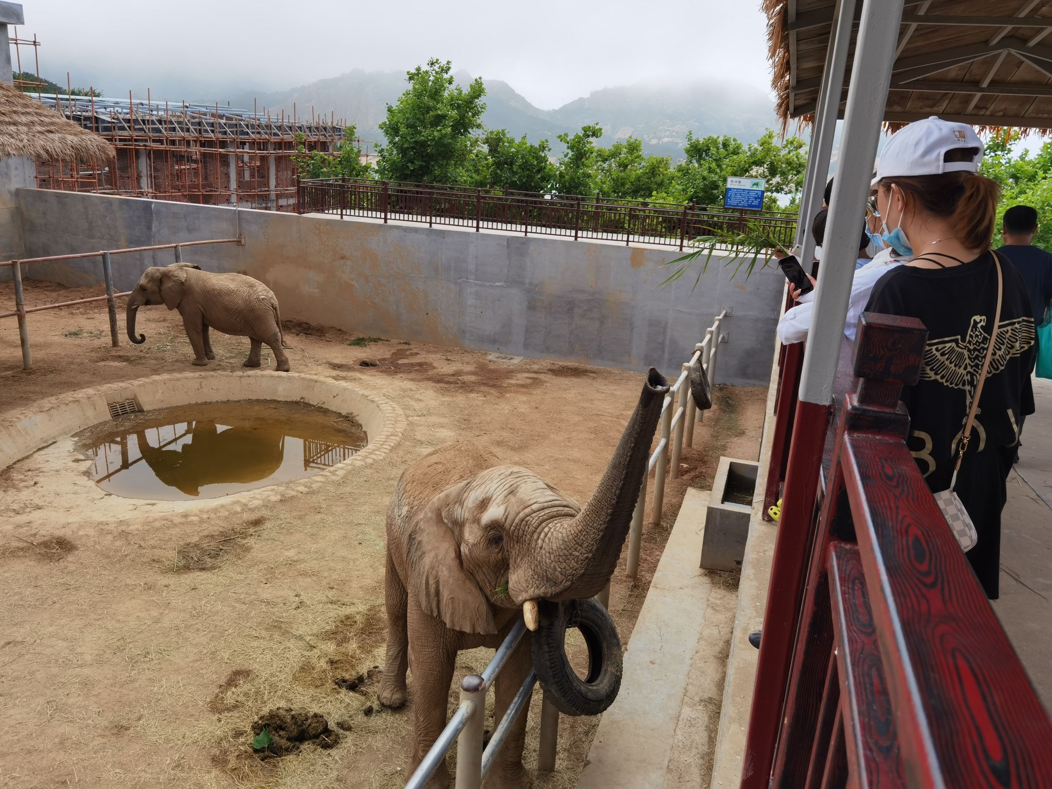 西霞口神鵰山野生動物園