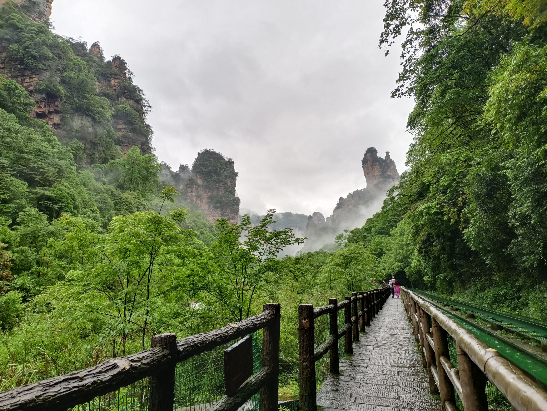 【攜程攻略】武陵源區張家界國家森林公園適合商務旅行旅遊嗎,張家界