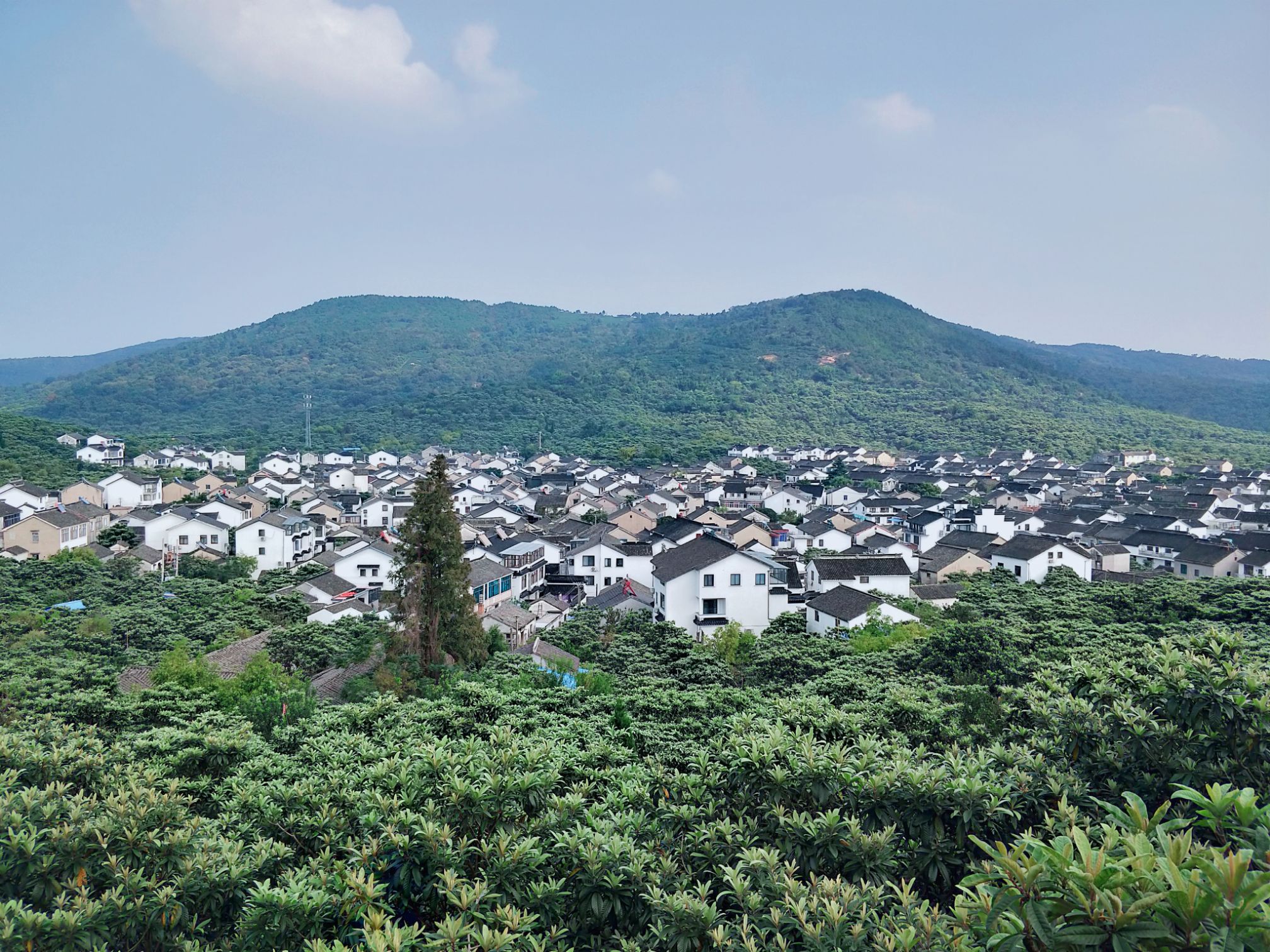 苏州东山景区游玩攻略(苏州东山农家乐包吃三日游)