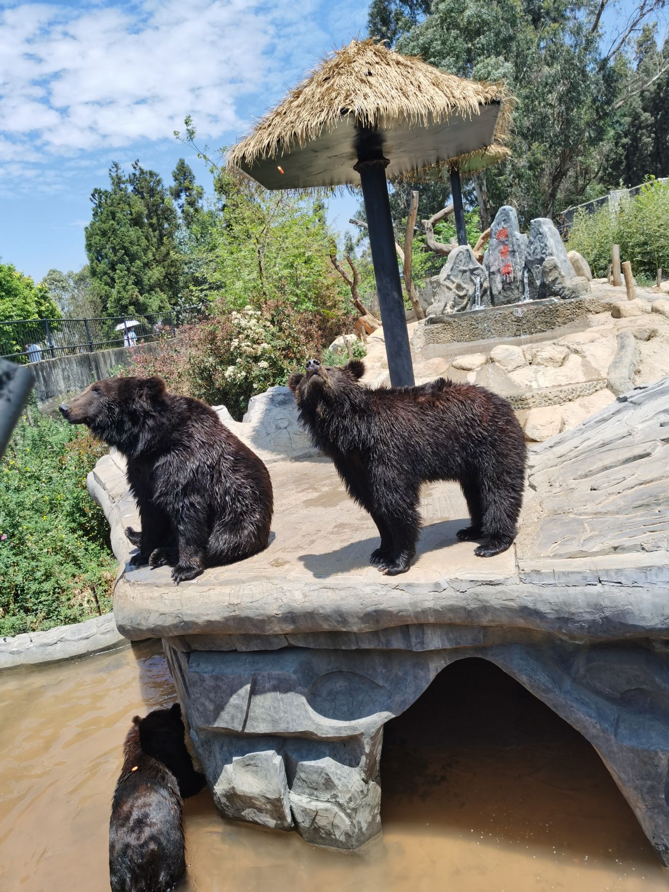 【攜程攻略】昆明雲南野生動物園適合朋友出遊旅遊嗎,雲南野生動物園