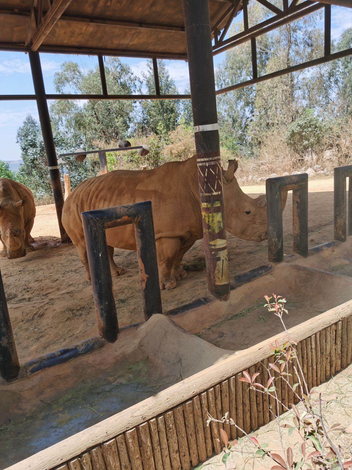 【攜程攻略】昆明雲南野生動物園適合朋友出遊旅遊嗎,雲南野生動物園