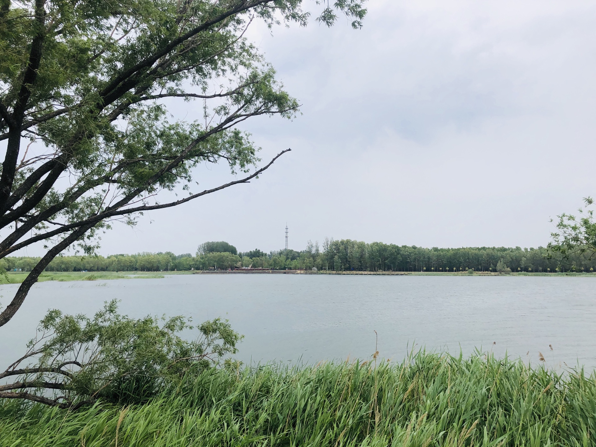 野鴨湖國家溼地公園