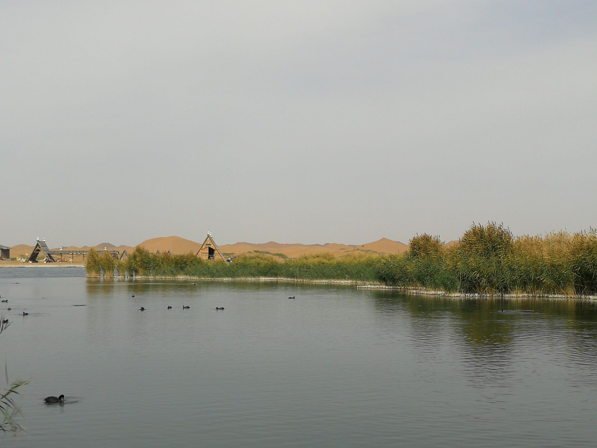 腾格里沙漠月亮湖