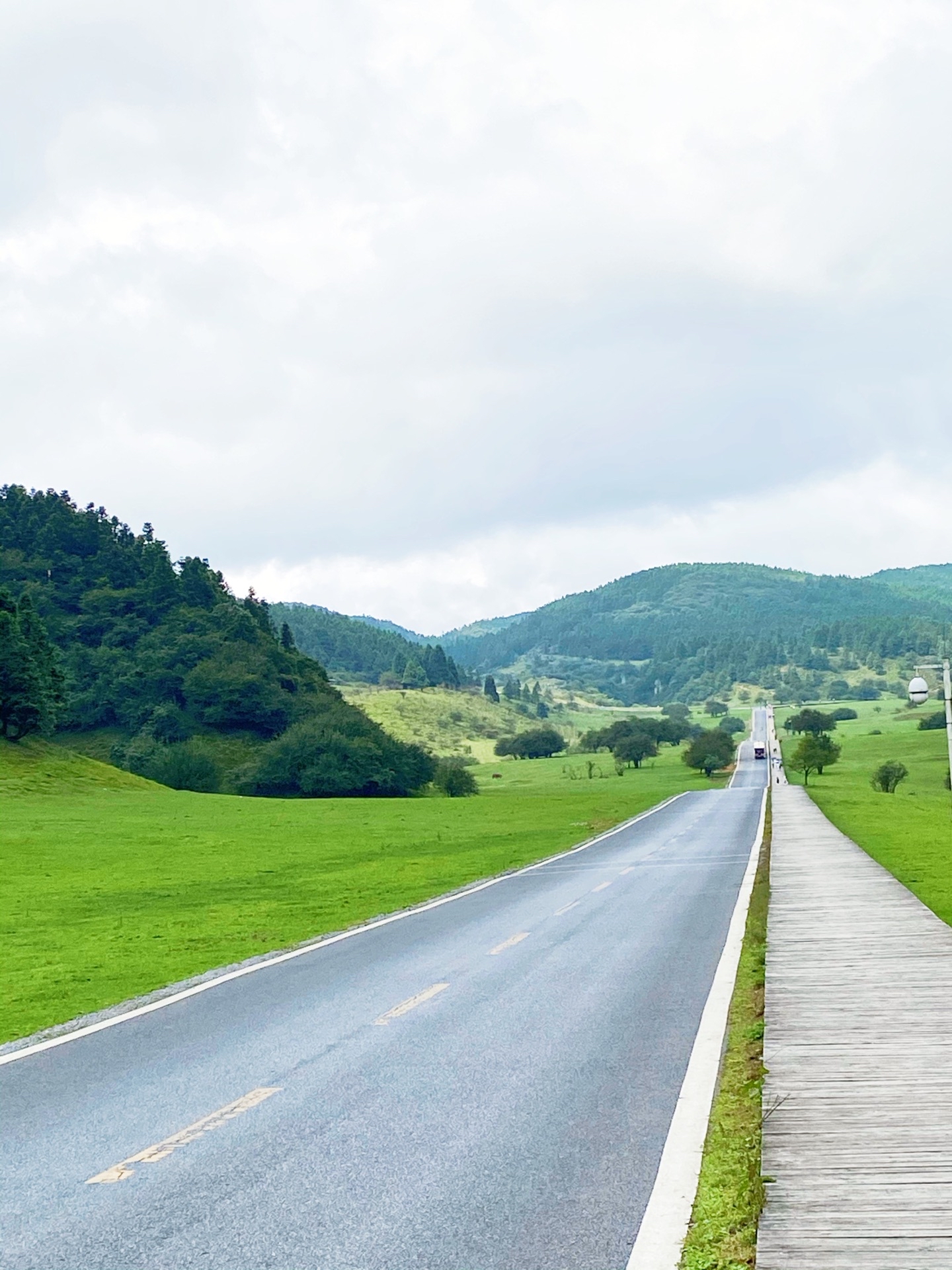 仙女山国家森林公园