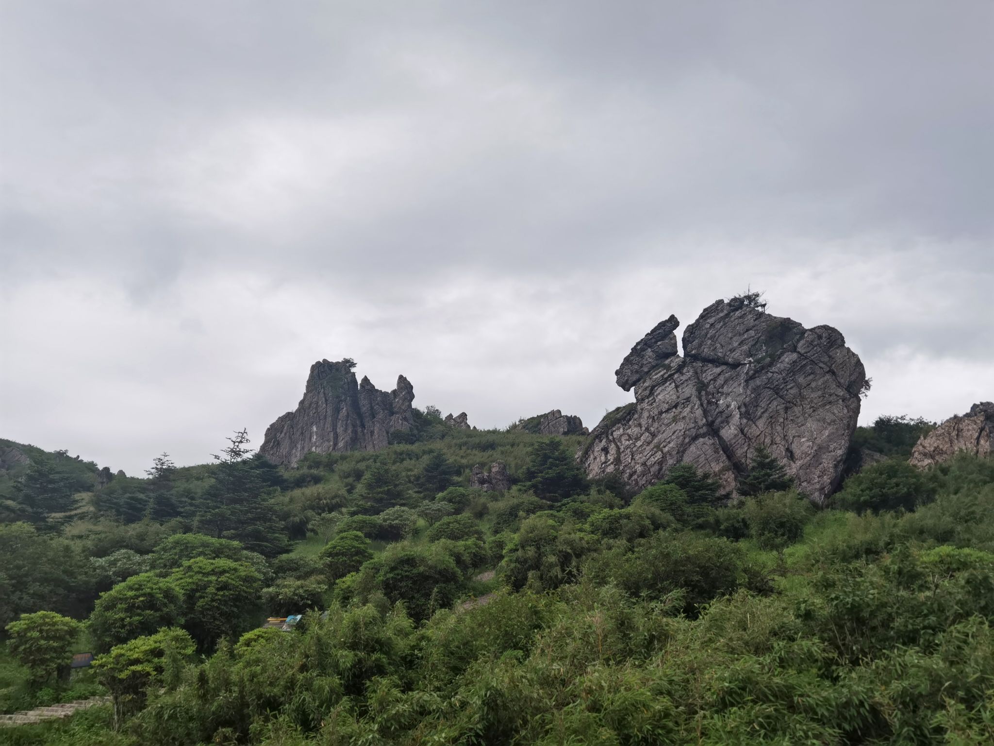 【攜程攻略】神農架神農頂風景區適合商務旅行旅遊嗎,神農頂風景區