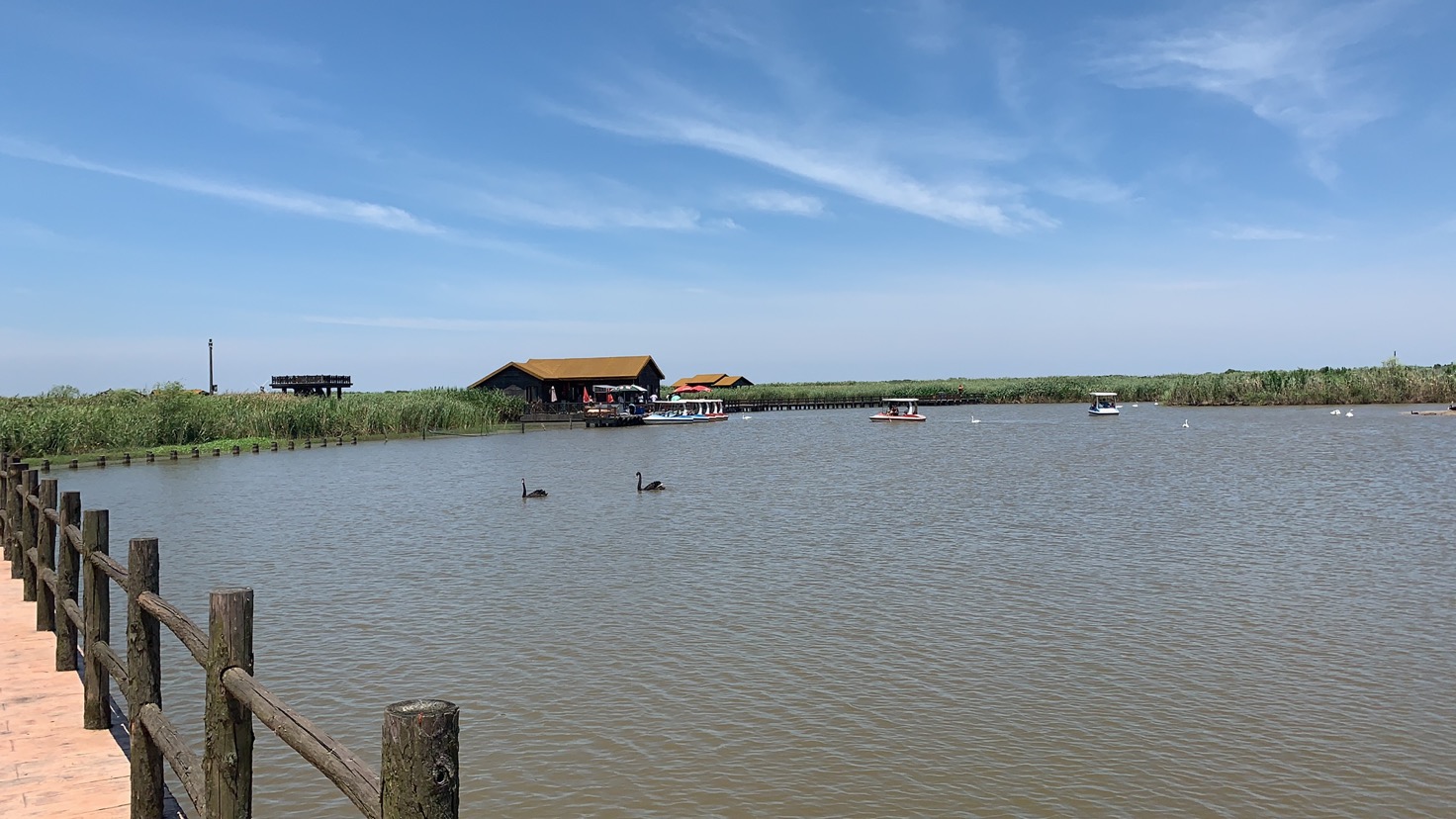 公园适合朋友出游旅游吗,杭州湾国家湿地公园朋友出游景点推荐/点评