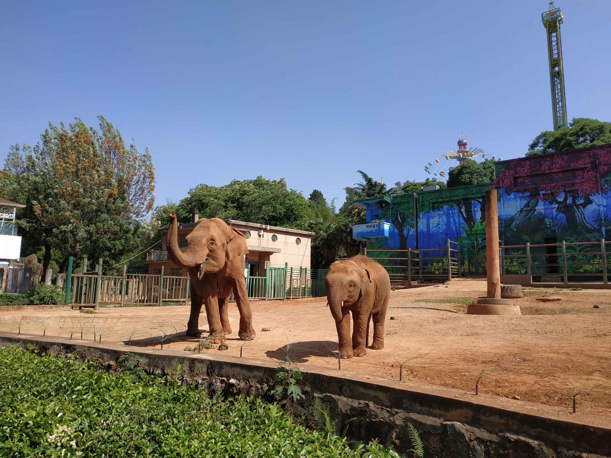 昆明動物園