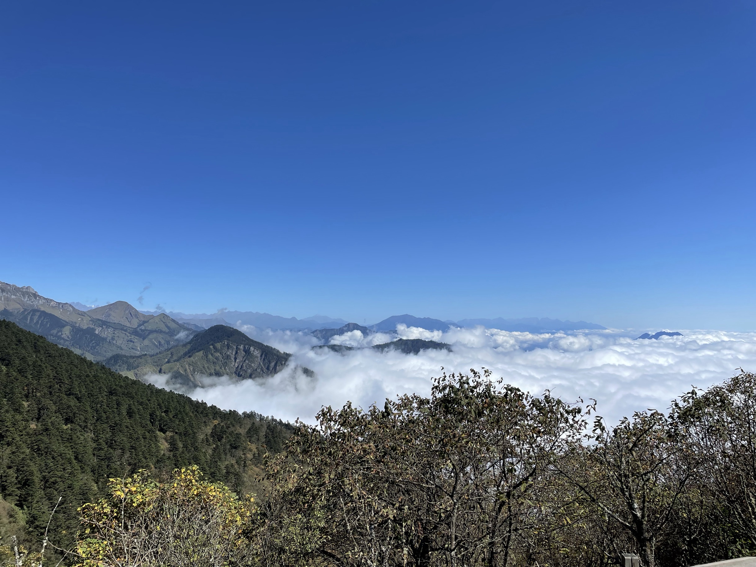 西岭雪山西岭雪山适合商务旅行旅游吗,西岭雪山商务旅行景点推荐/点评