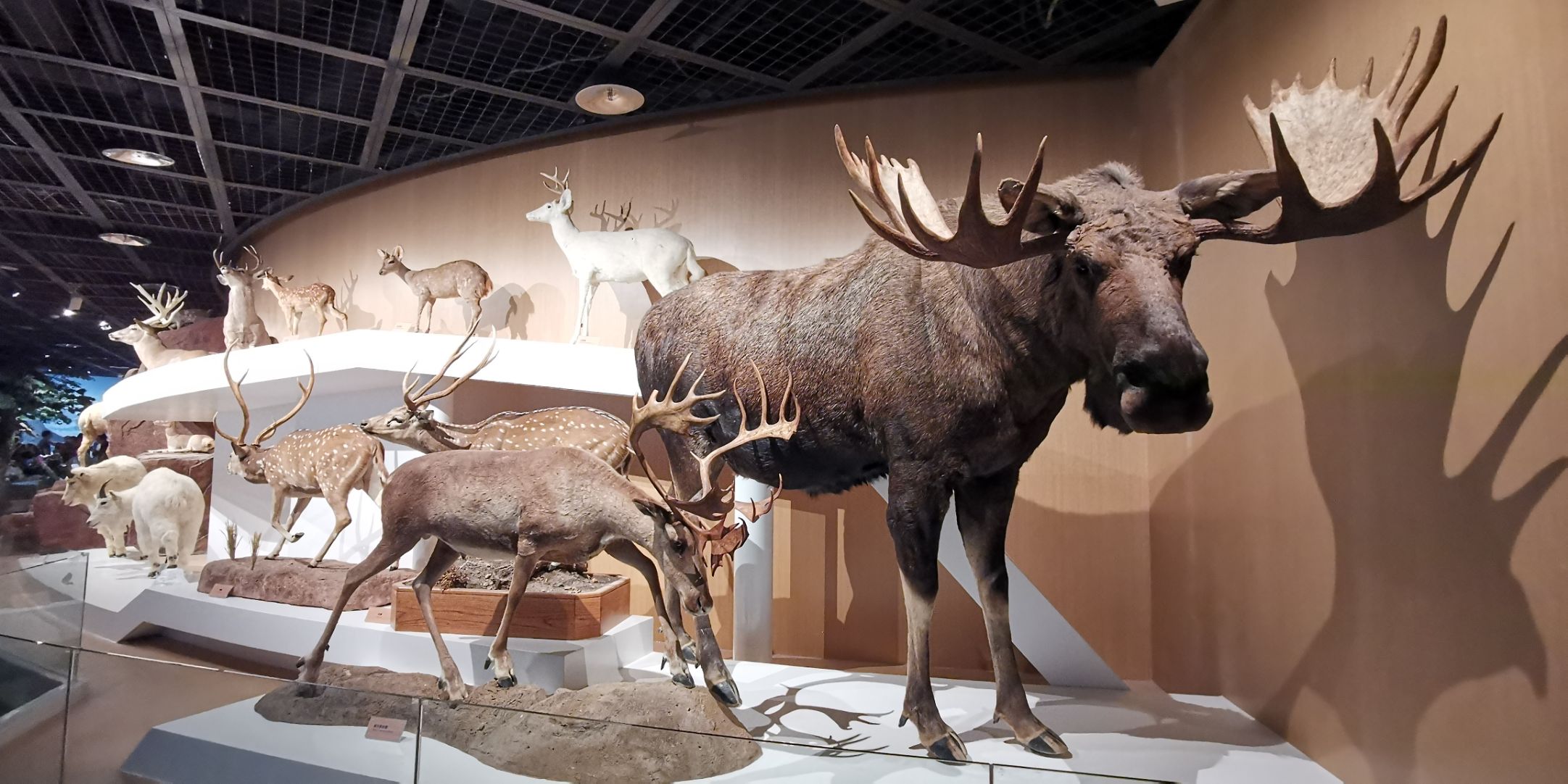 陕西自然博物馆