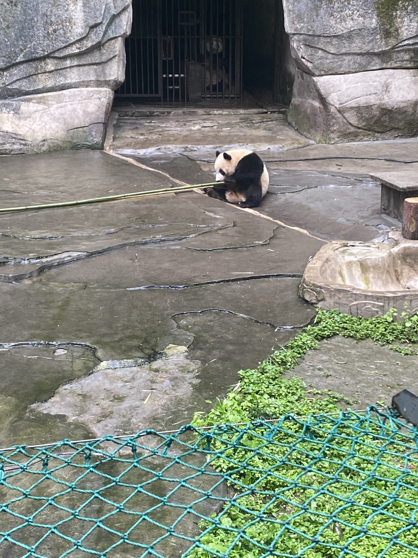 【携程攻略】重庆重庆动物园景点,动物种类还算多，但是每种不多，除了熊猫，其他和外地动物园没有什么…