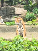 3-Day Huzhou & Anji Tour: Autumn Vibes of Moganshan, Bamboo Sea Exploration and Fun at Hello Kitty Park