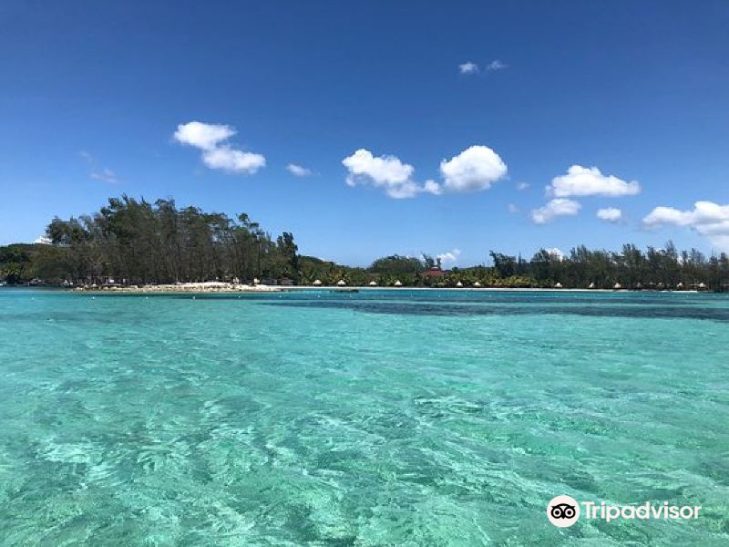 archsiguanamarinepark