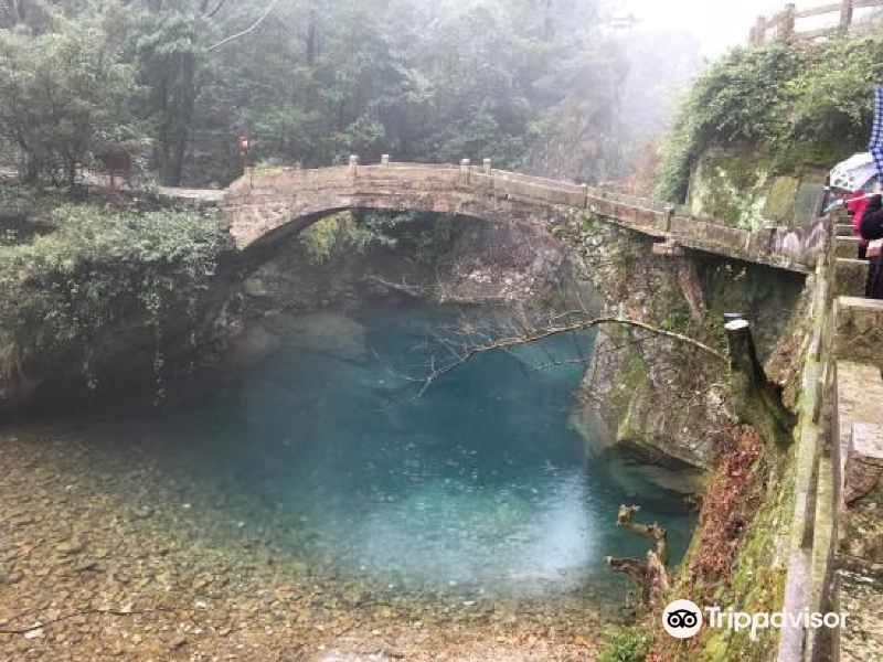 野鹤湫景区图片