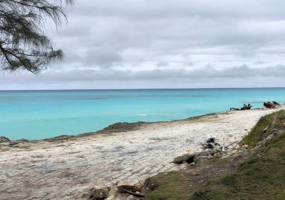 Bimini