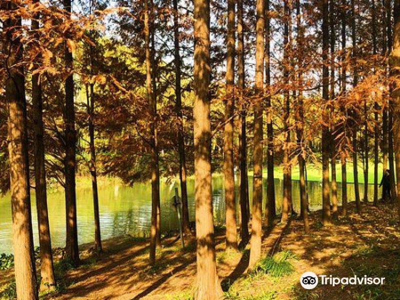 上海古美体育公园攻略-古美体育公园门票价格多少钱-团购票价预定优惠