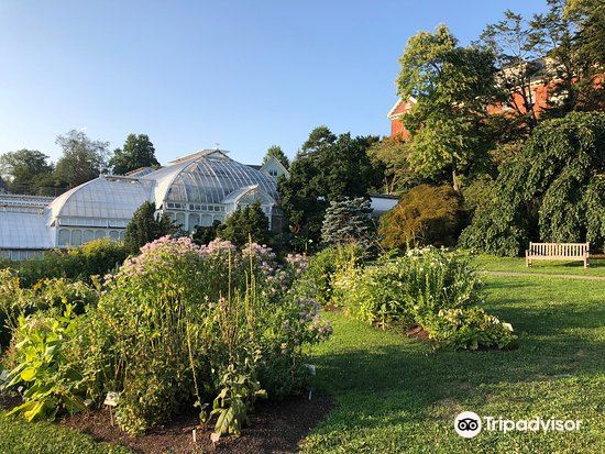 Research The Botanic Garden Of Smith College