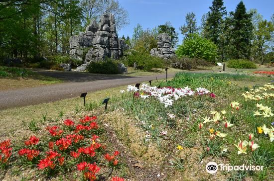 富山富山県中央植物園評判 案内 トリップドットコム