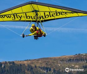 Bumblebee Hang Gliding Interlaken