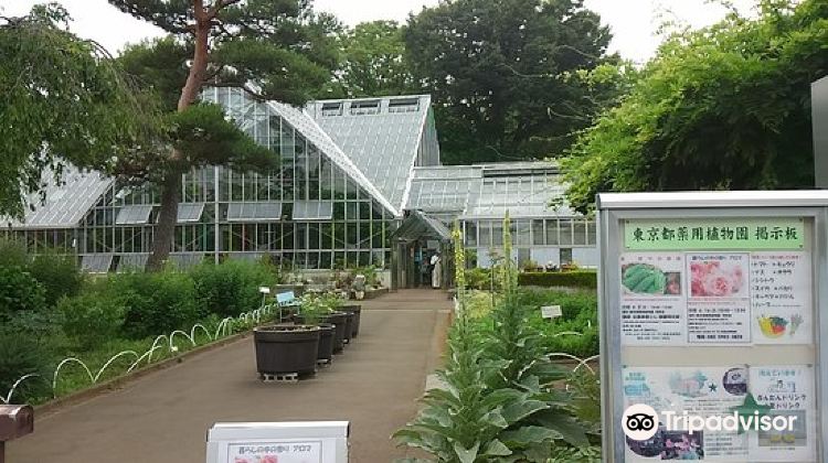 小平市東京都薬用植物園攻略 東京都薬用植物園门票价格多少钱 团购票价预定优惠 景点地址图片 携程攻略